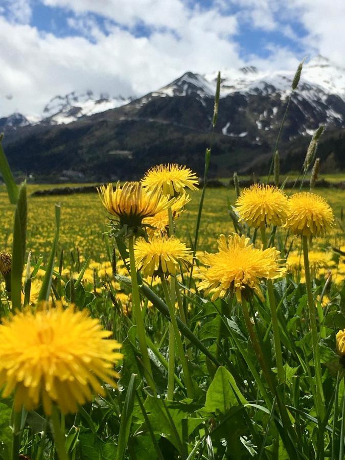 B&B Gottardo Airolo Kültér fotó